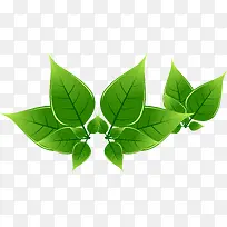 绿色树叶素材PNG矢量元素-空若网 绿色树叶素材PNG矢量元素-空若网