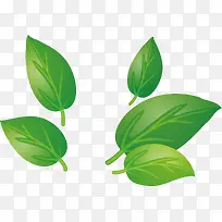 Ҷ��pngʸ���ز�-������