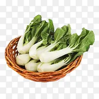 ��Ȼ�л��߲��̰ײ�-������