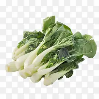 ��Ȼ�л��߲��̰ײ�-������