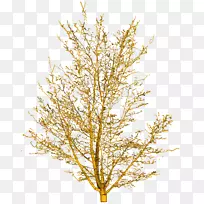 ��֦�ƹ�ľ-��֦-������