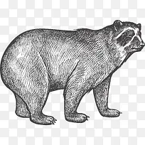 卡通可爱小动物装饰动物头像-空若网 卡通可爱小动物装饰动物头像-空若网