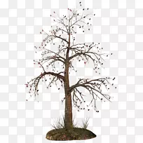 树枝夹艺术-树枝-空若网 树枝夹艺术-树枝-空若网