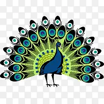 孔雀开屏-空若网 孔雀开屏-空若网