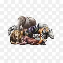 ����ϼ�-������