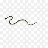 手绘小蛇-空若网 手绘小蛇-空若网