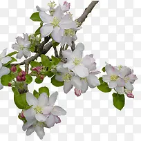 ����-������