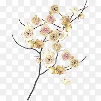 花枝-空若网 花枝-空若网