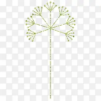 绿色蒲公英-空若网 绿色蒲公英-空若网