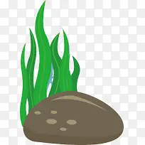 海洋生物海底海草-空若网 海洋生物海底海草-空若网