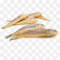 ��Ʒʵ�ﺣ����-������