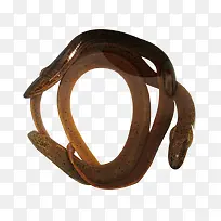 两条鳝鱼-空若网 两条鳝鱼-空若网