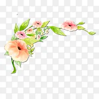 水彩牵牛花-空若网 水彩牵牛花-空若网