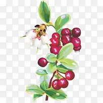 ÂûԽݮ-¿ÕÈôÍø ÂûԽݮ-¿ÕÈôÍø