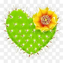 爱心仙人掌-空若网 爱心仙人掌-空若网
