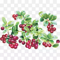 樱桃蔓越莓夹艺术-蔓越莓-空若网 樱桃蔓越莓夹艺术-蔓越莓-空若网