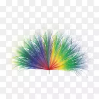 ��ë�����ֽ-������