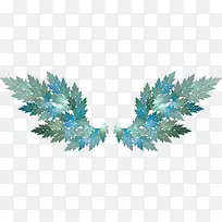 翅膀形状的植物-空若网 翅膀形状的植物-空若网