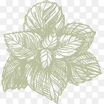 叶子火锅食物佐料-空若网 叶子火锅食物佐料-空若网