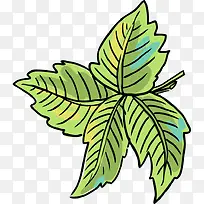 手绘 食物铅笔画 美食 食物 烹饪-空若网 手绘 食物铅笔画 美食 食物 烹饪-空若网