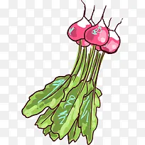 �ֻ� ʳ��Ǧ�ʻ� ��ʳ ʳ�� ���-������