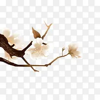 花卉-空若网 花卉-空若网