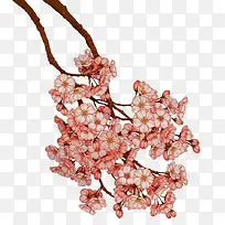 ����-������