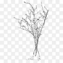 ����-������