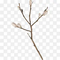 ��֦�ز�ͼƬ-������