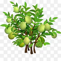 芒果树-空若网 芒果树-空若网