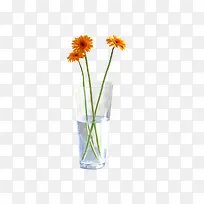 杯子里的花朵-空若网 杯子里的花朵-空若网