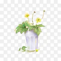 杯子里的金樱子-空若网 杯子里的金樱子-空若网