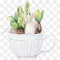 杯子花盆里的郁金香种子-空若网 杯子花盆里的郁金香种子-空若网