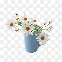 杯子里的杭白菊图片素材-空若网 杯子里的杭白菊图片素材-空若网