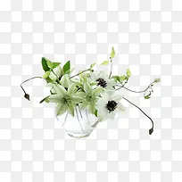 杯子里的花朵-空若网 杯子里的花朵-空若网