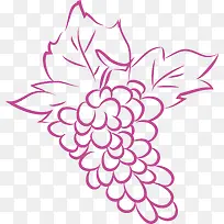 紫色葡萄-空若网 紫色葡萄-空若网