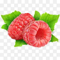 水果-空若网 水果-空若网