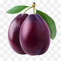 乌梅装饰素材-空若网 乌梅装饰素材-空若网