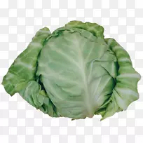 西葫芦甘蓝十字花科蔬菜菠菜-卷心菜-空若网 西葫芦甘蓝十字花科蔬菜菠菜-卷心菜-空若网
