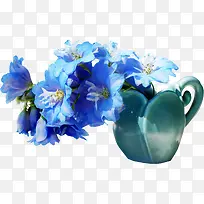 花卉-空若网 花卉-空若网