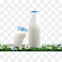 白色牛奶瓶-空若网 白色牛奶瓶-空若网