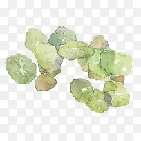 素雅水彩荷叶-空若网 素雅水彩荷叶-空若网
