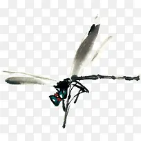 水墨画昆虫蜻蜓-空若网 水墨画昆虫蜻蜓-空若网