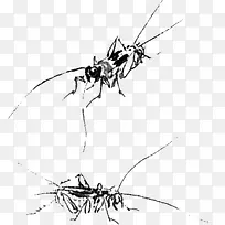 水墨画昆虫蟋蟀-空若网 水墨画昆虫蟋蟀-空若网