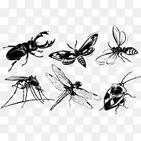 昆虫水墨-空若网 昆虫水墨-空若网