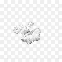 手绘荷花荷叶-空若网 手绘荷花荷叶-空若网