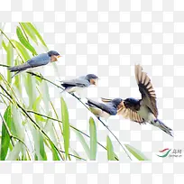 СÄñÖñÒ¶-¿ÕÈôÍø СÄñÖñÒ¶-¿ÕÈôÍø