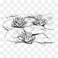 线稿荷塘-空若网 线稿荷塘-空若网