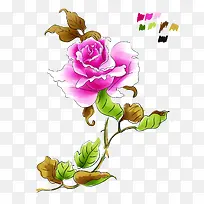 ˮ��õ�廨-������