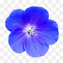 线条背景素材线条边框素材 蓝色-空若网 线条背景素材线条边框素材 蓝色-空若网